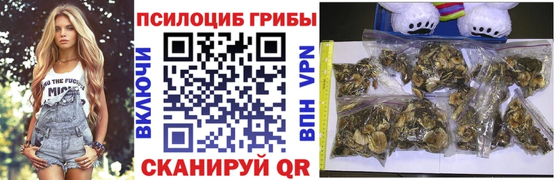 omg ONION  Камышлов  Галлюциногенные грибы Psilocybine cubensis 